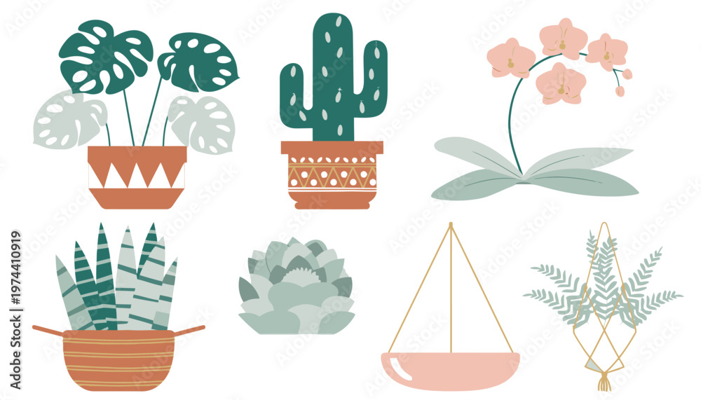 Fototapeta premium Collection of Various Potted Cacti and Succulents.