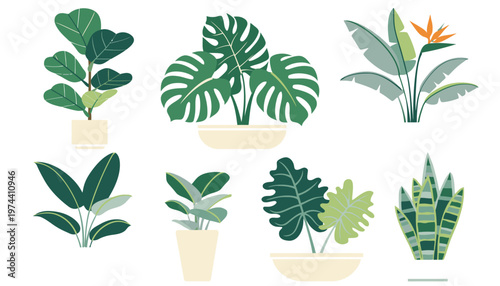 Collection of Various Green Houseplants and Foliage.