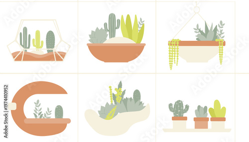 Various Potted Cactus and Succulent Plants Collection.