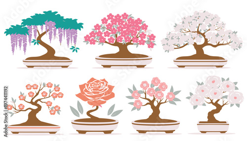 Collection of Beautiful Artistic Bonsai Trees.
