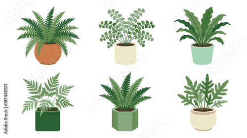 Collection of Various Indoor Potted Plants for Home Decor.