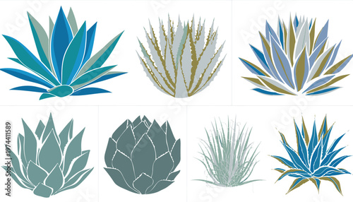 Collection of Various Succulent Plants in Different Colors and Shapes.