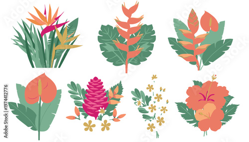 Collection of Colorful Tropical Flower Illustrations.
