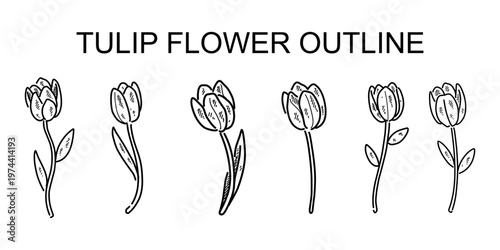 Hand drawn line drawing of tulips with stems and leaves, elegant floral art, black outline on white background. A beautiful collection of tulip, illustrated in a black and white sketchy line art style