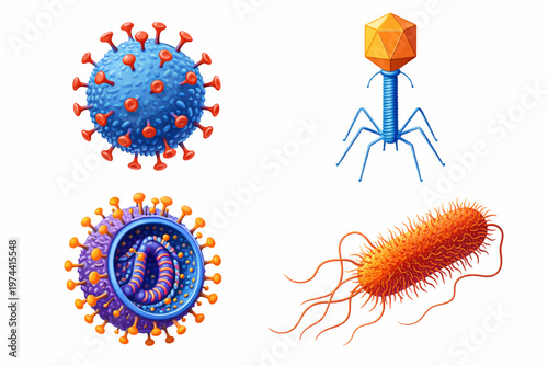 Microscopic Organisms Set: Viruses, Bacteriophage, and Bacteria Vector Illustration