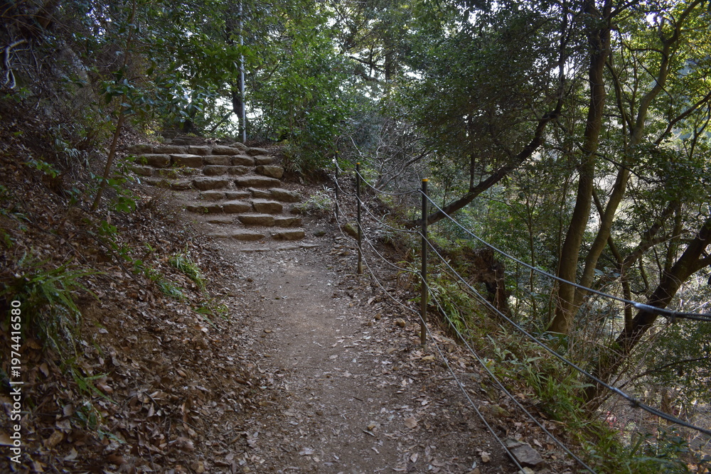 Obraz premium Narrow dirt hiking trail with stone steps and rope fence in forest