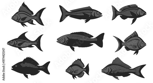 Collection of Nine Black Fish Silhouettes Isolated on White Background.