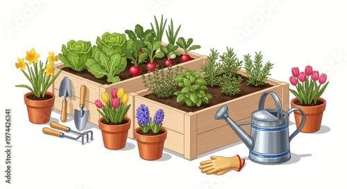 Detailed vector illustration depicting spring gardening with potted plants and raised beds filled with vegetables and flowers, complemented by gardening tools and gloves, set