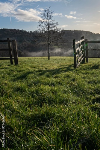 Fotografie Open gate to the English countryside picture, leading line into a green grass field with a single tree at sunrise