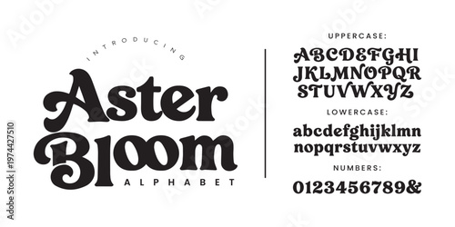Aster Bloom Classy Retro Serif Font Alphabet Vector for Elegant Branding Fashion and Luxury Vintage Design