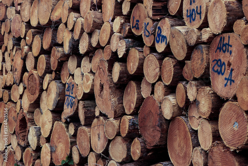 Logs stacked against a wall in a lumber yard during daytime with markings on the wood