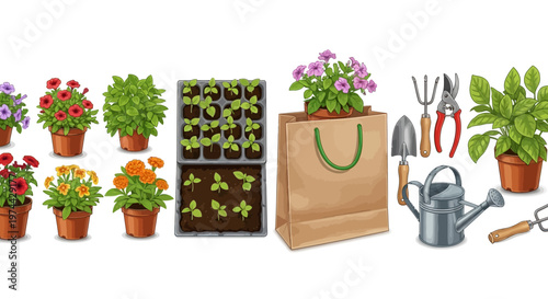 Vector illustration showcasing various potted plants, gardening tools, and seedling trays against a clean white background, reflecting the home garden lifestyle and the vibrant colors
