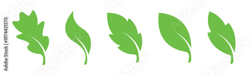 Green leaf silhouettes of various botanical elements vector illustration