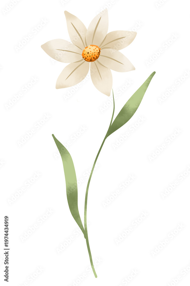 Fototapeta premium Beige flower digital illustration. Hand painting. 