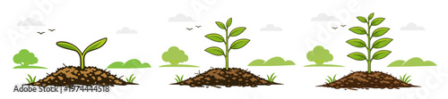 Flat vector set of plant growth stages showing sprout, young seedling and sapling in soil on a white background. Educational agriculture illustration about development and life cycle.