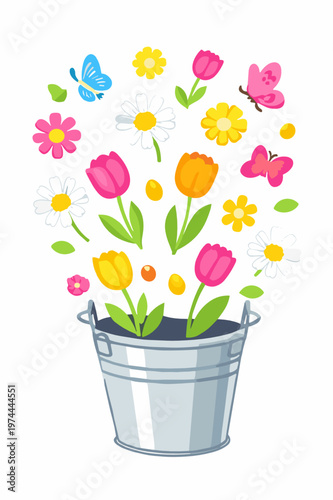 Metal bucket filled with blooming tulips, daisies and butterflies in a bright upward bouquet. Cheerful spring floral vector isolated on transparent background.