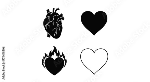 Vector illustration of set of heart icons, anatomical heart, solid heart, burning heart, outline on a transparent background