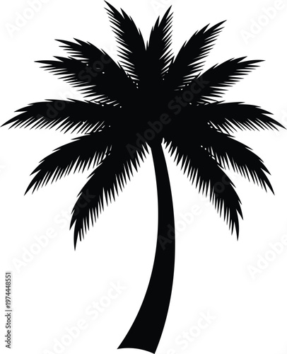 Palm tree silhouette tropical plant isolated black vector illustration