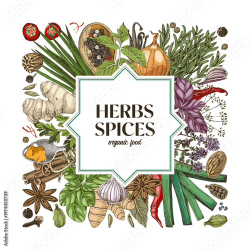 Herbs and spices shop vector background