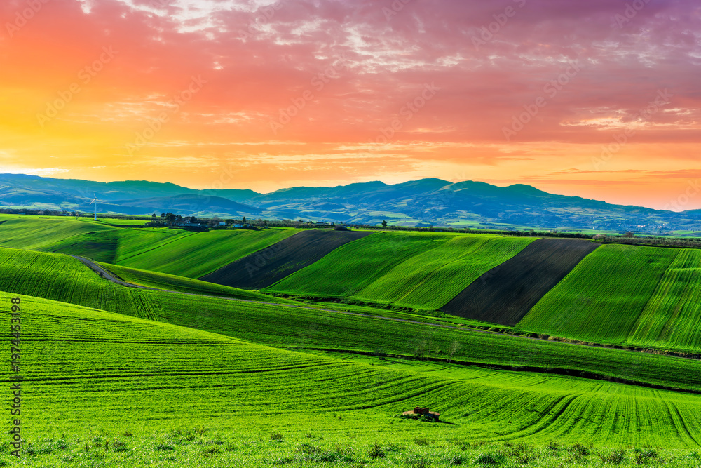 Obraz premium green spring or summer farmland landscape with beautiful hills of farm covered with fresh grass and plants with amazing mountains and sunset cloudy sky on background