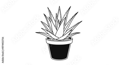 Vector illustration of aloe vera plant in a pot, hand drawn vector illustration on a transparent background