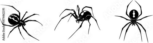 A minimalist black and white illustration of a Creepy Black Widow spider, featuring an hourglass pattern on its abdomen against a stark black silhouette with crisp edges for easy tracing