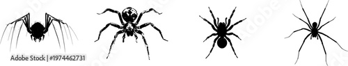 A detailed camel spider chelicerae is depicted in stark black silhouette on a pure white background, showcasing crisp high contrast edges with minimalist stencil design