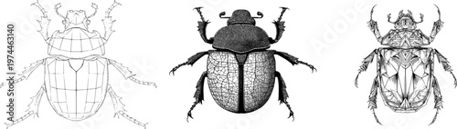 A detailed geometric scarab beetle with symmetrical facet patterns, sharp black ink outline, solid white background, monochrome coloring book style, clear boundaries, flat 2D graphic, showcasing