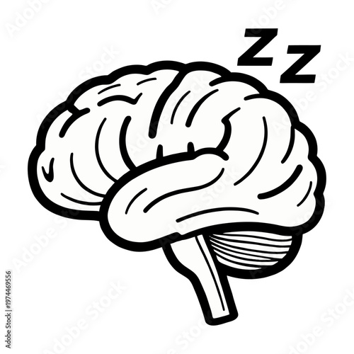 Vector of a sleeping brain with zs indicating restful sleep