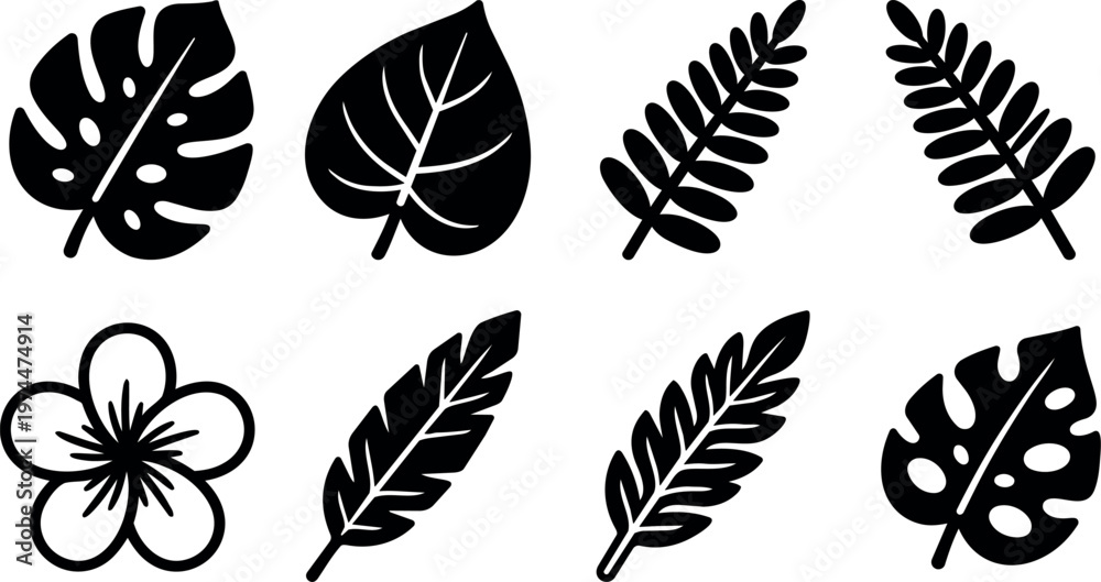 Fototapeta premium Black and white tropical leaf and flower vector art set with monstera and fern leaves