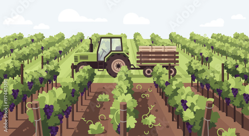 Green Tractor with Trailer Full of Harvested Grapes in Vineyard.