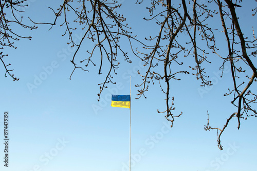 Spring branches and Ukrainian flag against a blue sky background