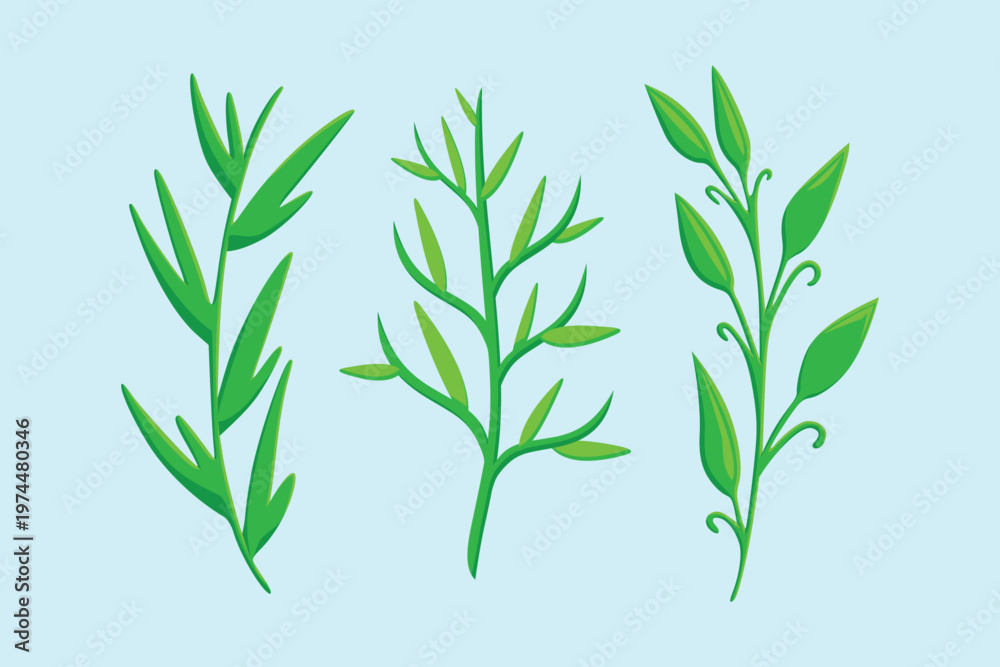 Fototapeta premium Green Floral Plant Grass Fern Twig Branch Floral Ornament Set Flat Vector