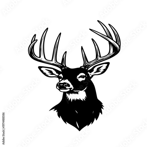 silhouette of a deer