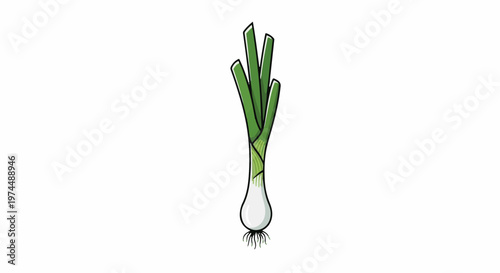 A simple cartoon illustration of a fresh green onion with roots