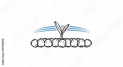 A single sprout emerges from a row of seeds, with blue lines