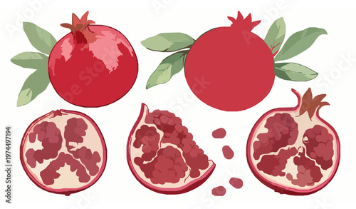 Watercolor pomegranate fruit illustration set with seeds and leaves