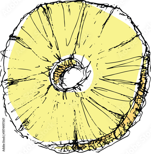 Hand drawn pineapple piece ring fruit illustration sketch clipart vector