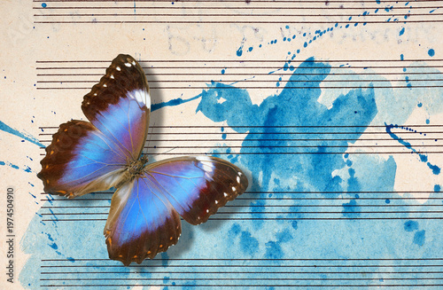 Morpho blue butterfly and notes. Butterfly melody. Photo of old music sheet in blue watercolor paint. Blues music concept. Abstract blue watercolor background.