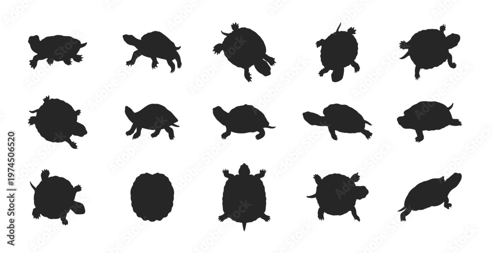 Obraz premium Assortment of sea turtles in silhouette swimming and resting. Turtle silhouettes collection, walking tortoise reptile poses set, black turtle pack animal shapes, isolated wildlife vector illustration.