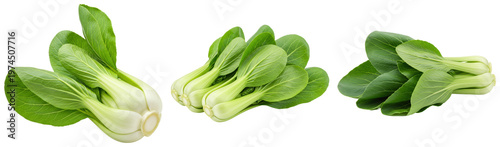 Photos Fresh bok choy in various groupings, a crisp and healthy leafy green vegetable, isolated on transparent background