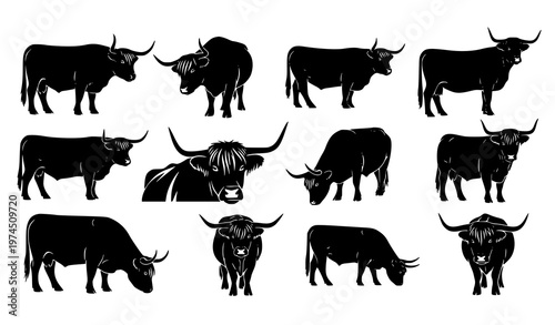 Highland cow silhouette vector set black cattle illustration