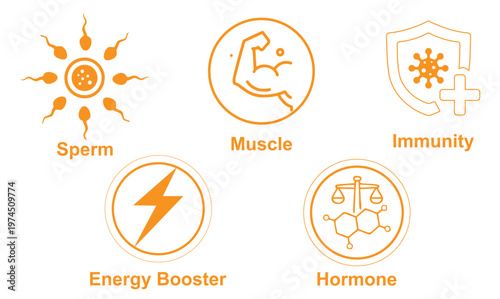 Bild auf Leinwand Modern healthcare icon set featuring immunity, sperm, muscle, energy booster, and hormone concepts in a clean minimal vector style ideal for medical, fitness, and wellness-related designs