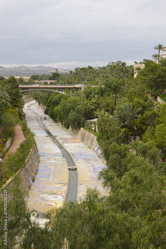 Fototapeta premium Palmeral of Elche, a palm orchard in Elche, Spain 