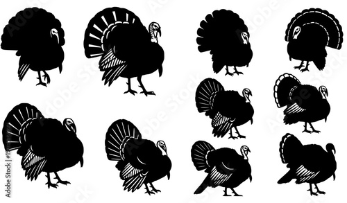 Turkey bird vector silhouette black illustration set
