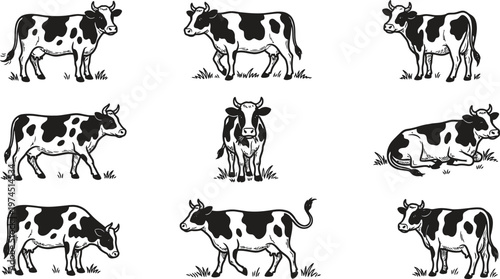 Black and white vector cow illustrations in various poses and angles