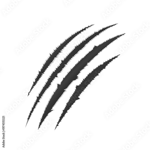 Black claw scratch mark with torn edges. Wild animal slash trace showing sharp nail damage. Design element for horror, fantasy, mystery, Halloween. Realistic vector illustration.