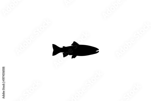 Salmon Fish Silhouette Isolated on transparent background