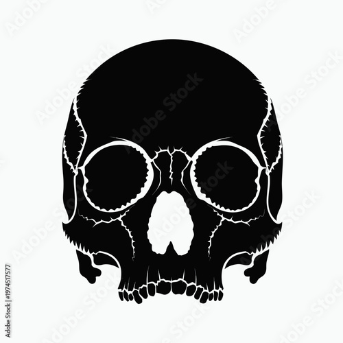 Black skull icon, cracked skull graphic, white outline, vector illustration, creepy symbol