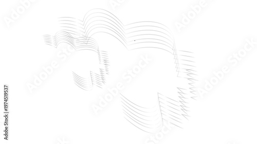 Elegant white light trails curve dynamically against darkness.